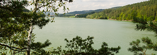 Okolí